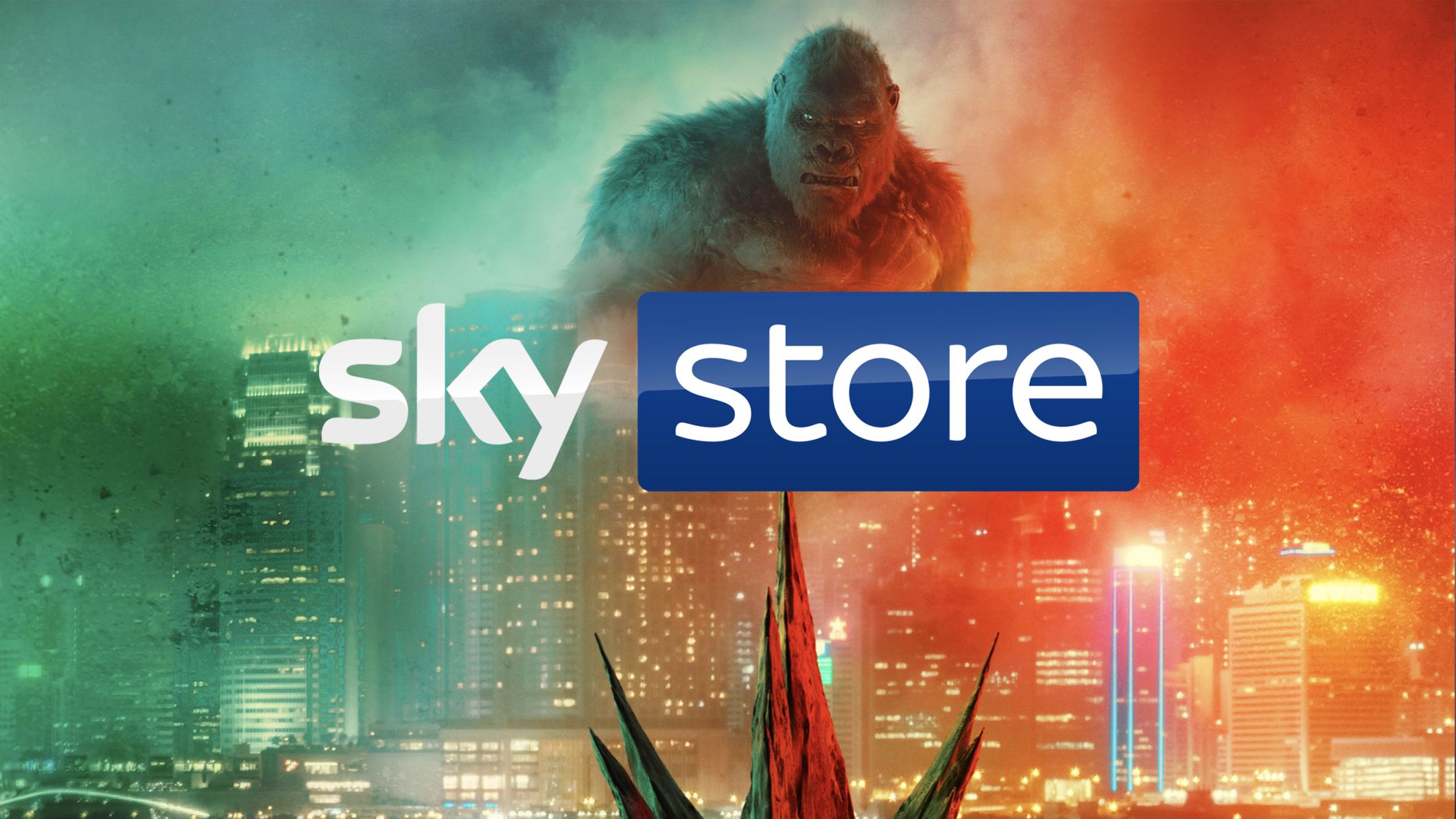 Sky Store